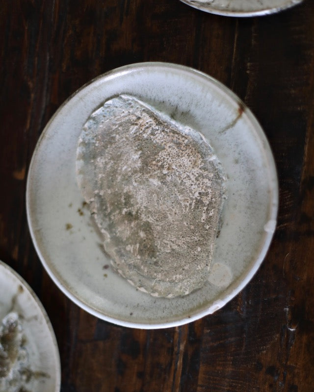 Chloé Rosetta Bell Crab Shell Wild Clay Plate 17
