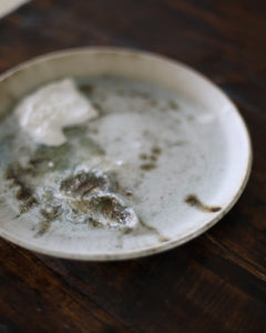 Chloé Rosetta Bell Lobster Shell Wild Clay Plate 18