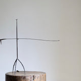 Craig Bamford 'Lucinena'