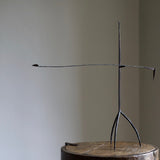Craig Bamford 'Lucinena'
