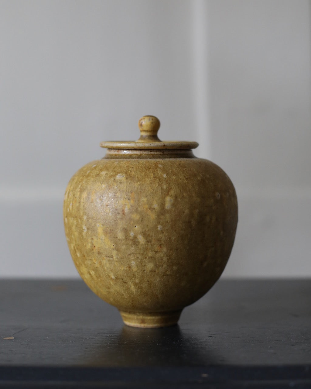Yuta Segawa miniature pot and cover XXXL 11