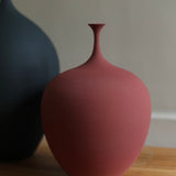 Sophie Cook 'Small acorn dry deep rose'