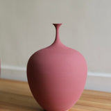 Sophie Cook 'Small acorn dry deep rose'