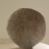 Malcolm Martin and Gaynor Dowling 'Organic Disc'