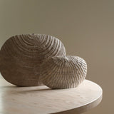 Malcolm Martin and Gaynor Dowling 'Ellipse III'