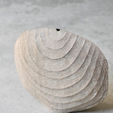 Malcolm Martin and Gaynor Dowling 'Shell Disc in Limed and Scorched Oak'