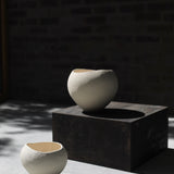 Enriqueta Cepeda 'White Bowl 16'