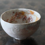 Asaho Kamiya 'Yukinohi Tea Bowl 茶碗 雪䛾日'