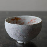 Asaho Kamiya 'Yukinohi Tea Bowl 茶碗 雪䛾日'