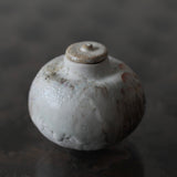 Asaho Kamiya 'Uroko Tea Caddy / Bottle 瓶 鱗、茶 花'