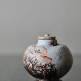 Asaho Kamiya 'Uroko Tea Caddy / Bottle 瓶 鱗、茶 花'