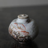 Asaho Kamiya 'Uroko Tea Caddy / Bottle 瓶 鱗、茶 花'