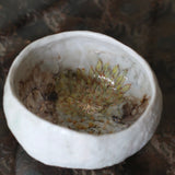 Asaho Kamiya 'Kabotya Tea Bowl 茶碗 かぼちゃ'