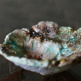 Asaho Kamiya 'Morinowa 森䛾木'