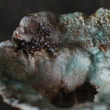 Asaho Kamiya 'Morinowa 森䛾木'