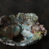 Asaho Kamiya 'Morinowa 森䛾木'