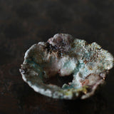 Asaho Kamiya 'Morinowa 森䛾木'