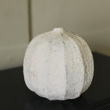IGNORE ------ Akiko Hirai 'Poppy Pod 24 '