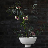 Jennifer Morris 'Stoneware Bowl'