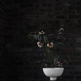 Jennifer Morris 'Stoneware Bowl'