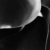 Koichi Onozawa 'Kuro Vessel V'