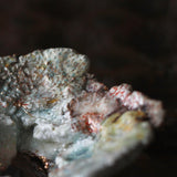 Asaho Kamiya 'Morinowa 森䛾木'