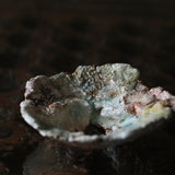 Asaho Kamiya 'Morinowa 森䛾木'