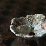 Asaho Kamiya 'Morinowa 森䛾木'