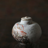Asaho Kamiya 'Uroko Tea Caddy / Bottle 瓶 鱗、茶 花'