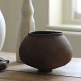 Takahashi McGil Hornbeam 'Kame' 11