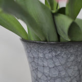 Takashi Suzuki 'Blue Crackle Vase II'
