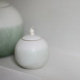 Kate Schuricht Lunar 2