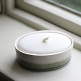 Kate Schuricht Elipse