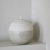 Kate Schuricht Lunar 3