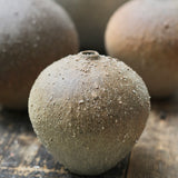 Mizuyo Yamashita Wild Clay Vessel A4