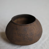 Takahashi McGil Hornbeam 'Kame' 11