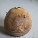 Takahashi McGil Sycamore 'Sen II' 29