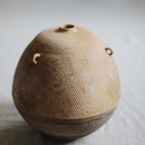 Takahashi McGil Sycamore 'Sen II' 29