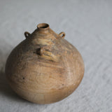 Takahashi McGil Sycamore 'Sen I' 28