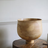 Takahashi McGil Hornbeam 'Fukabachi' 24