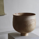 Takahashi McGil Hornbeam 'Fukabachi' 24