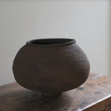 Takahashi McGil Hornbeam 'Kame' 11