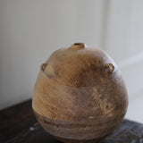 Takahashi McGil Sycamore 'Sen II' 29