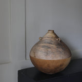 Takahashi McGil Sycamore 'Sen I' 28