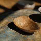 Akari Karugane 'Chinese Tea Cup Saucer' (7)