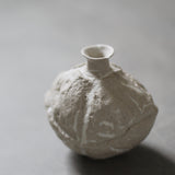 Annette Lindenberg 'Limestone' Stand alone bottle