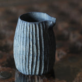 Glenn Dane 'Silver Birch Pouring Vessel II'