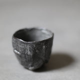 Annette Lindenberg 'Dusted' Yunomi cup