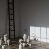 Rhona Frances 'Prussia'