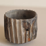 Glenn Dane 'Lime Cup II'